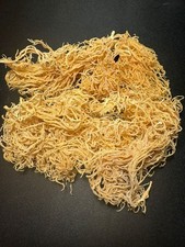 Muschio di mare grezzo